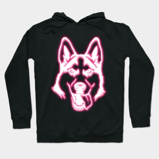 Neon Husky Hoodie